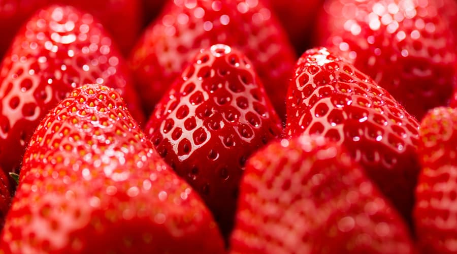 Alimentación biológica en Vigo