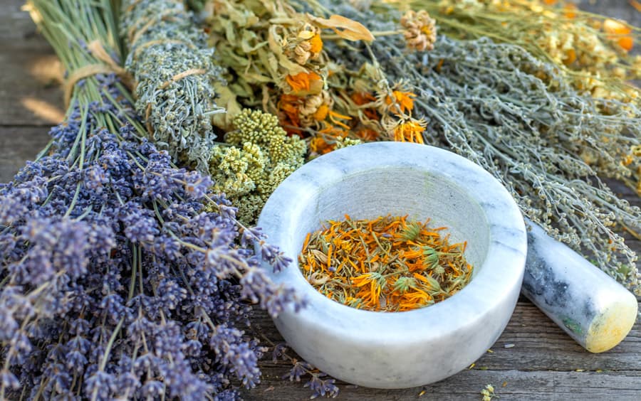 Contactar con Elixir Biotienda