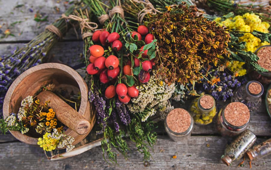 Servicios de herboristería y tienda bio en Vigo